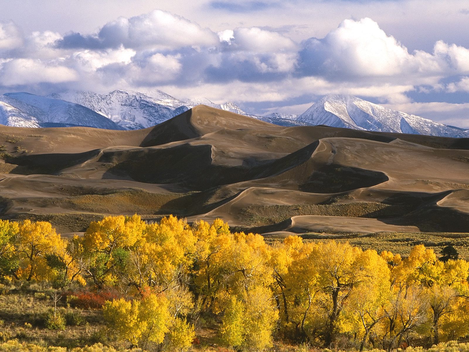 Dunes and Fall Color Colorado photo or wallpaper