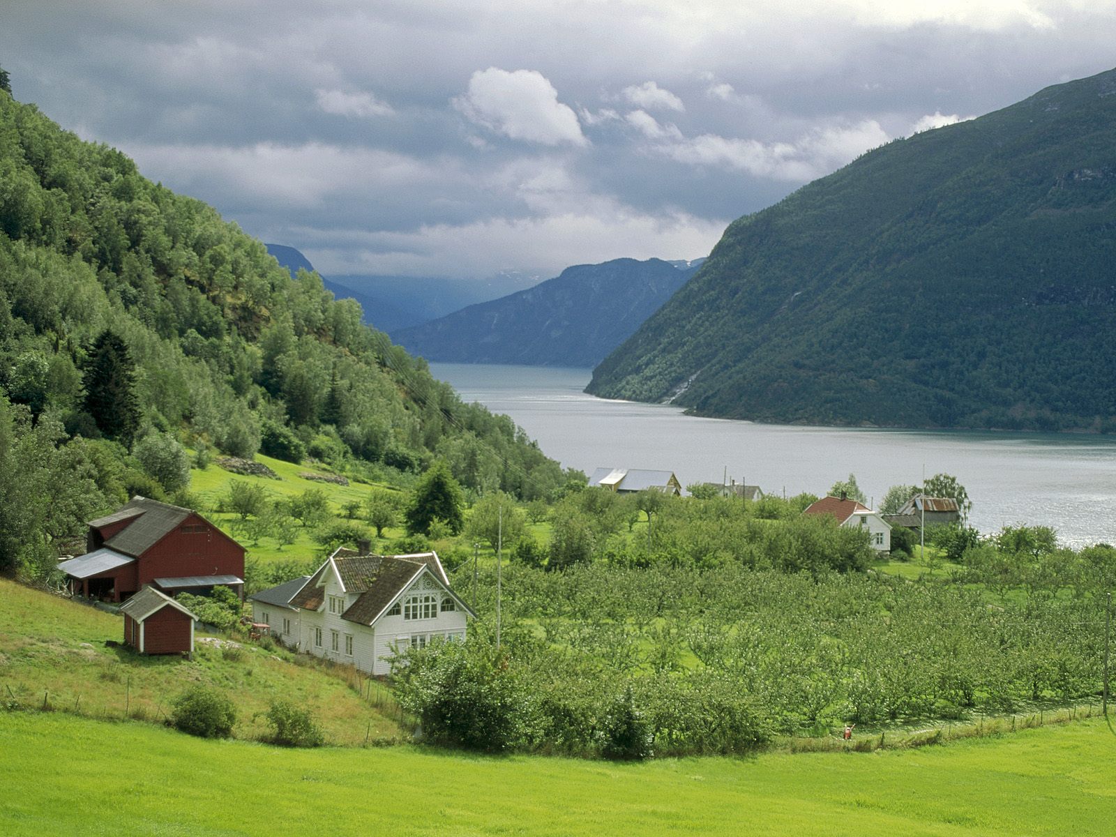 Urnes Sognefjord, Norway photo or wallpaper