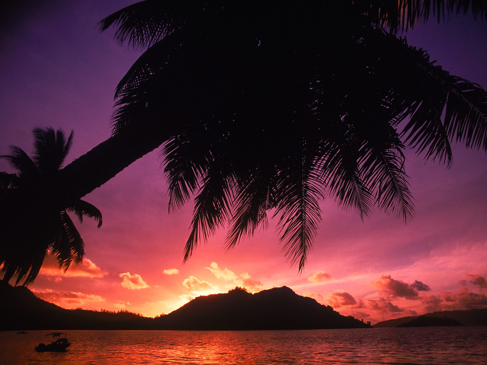 Tropical Beach at Sunset The Seychelles picture  Tropical Beach at