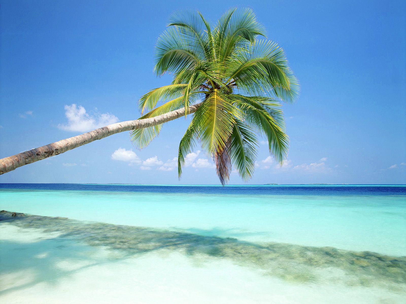 Tropical Island Maldives