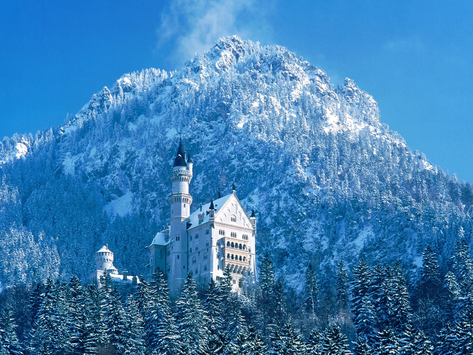 Neuschwanstein Castle Bavaria Germany - snow photo or wallpaper