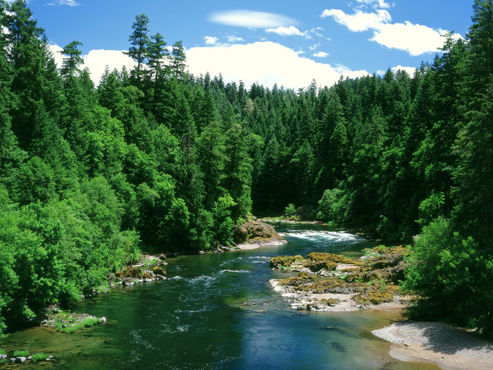 Umpqua River Douglas County Oregon