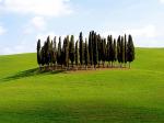 Scenic Siena Province Tuscany Italy