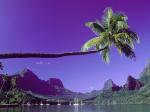 The Big Stretch Tahiti