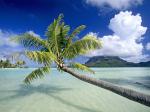 Tropical Escape Bora Bora French Polynesia