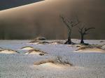 Sandscape Namib Desert Africa