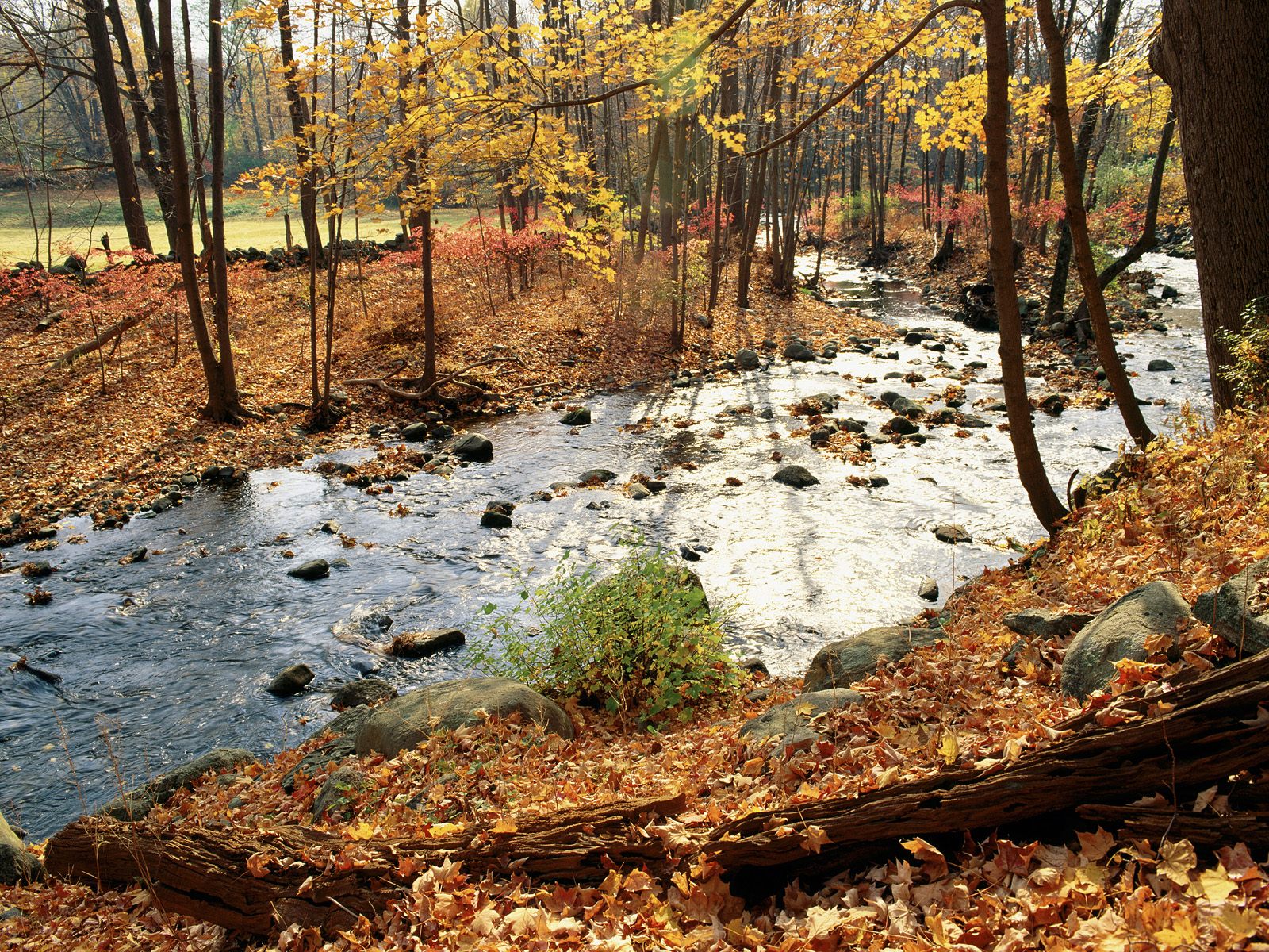 Westchester County in Fall New York