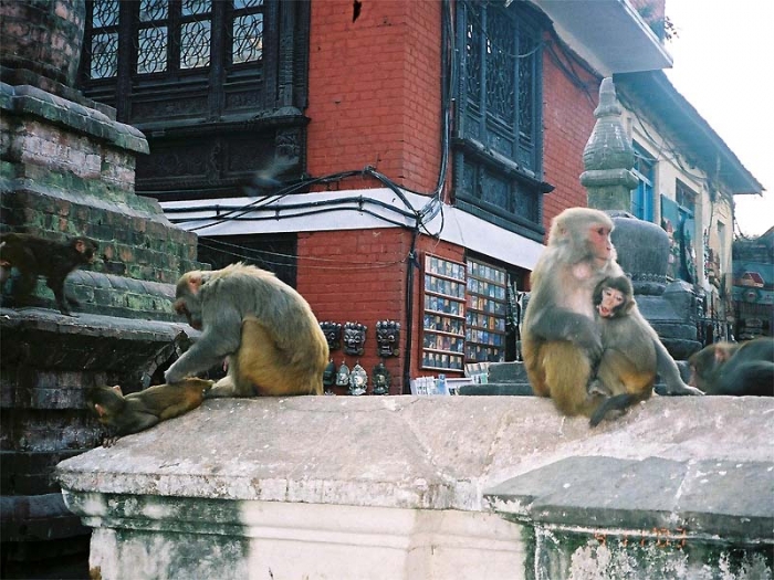 kathmandu