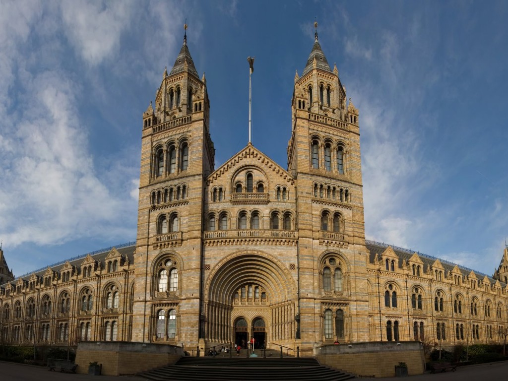 natural history museum 1024 x 768