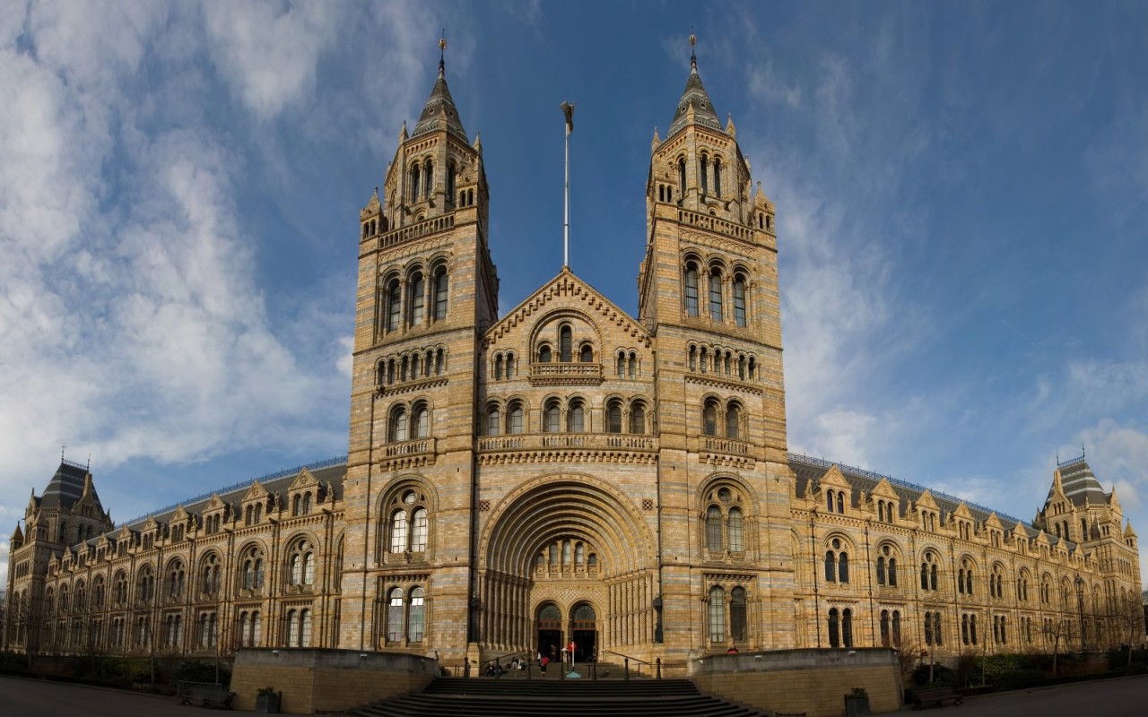 natural history museum 1280 x 800
