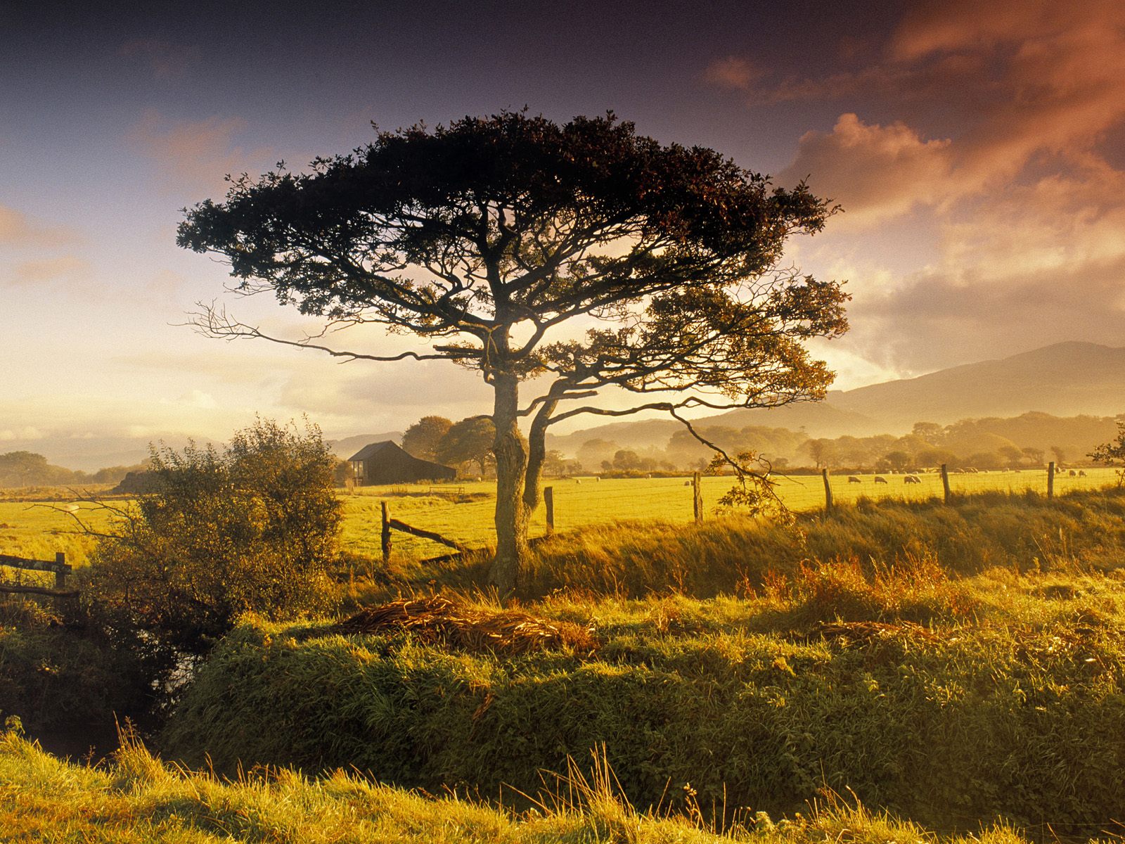 Scenic Near Harlech North Wales Great Britain