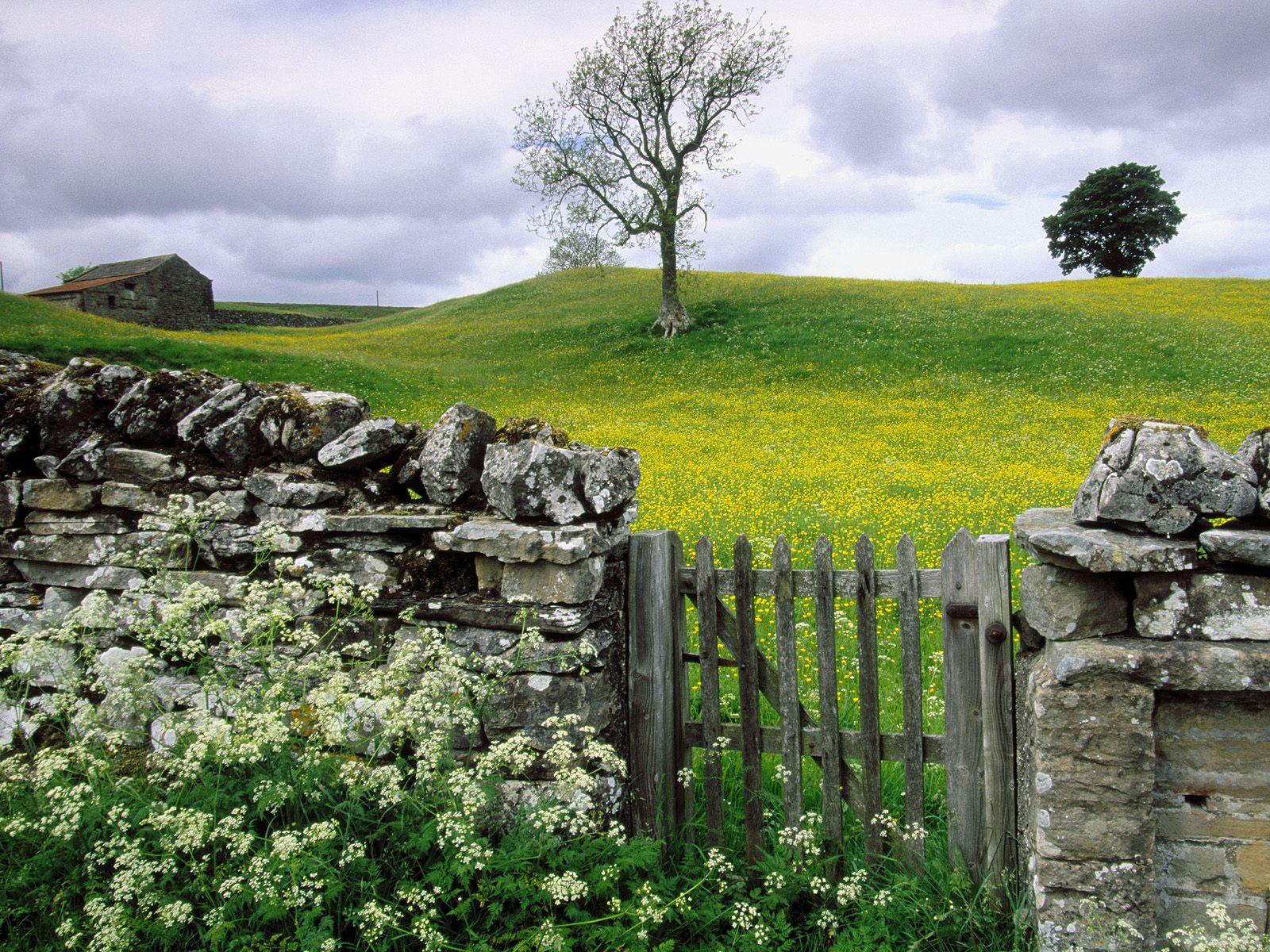 Swaledale Valley Yorkshire United Kingdom