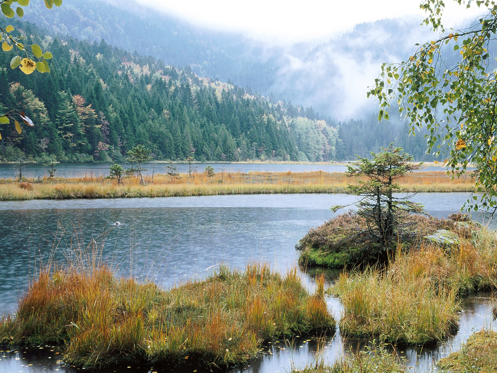 Small Arber Lake Bavarian Forest