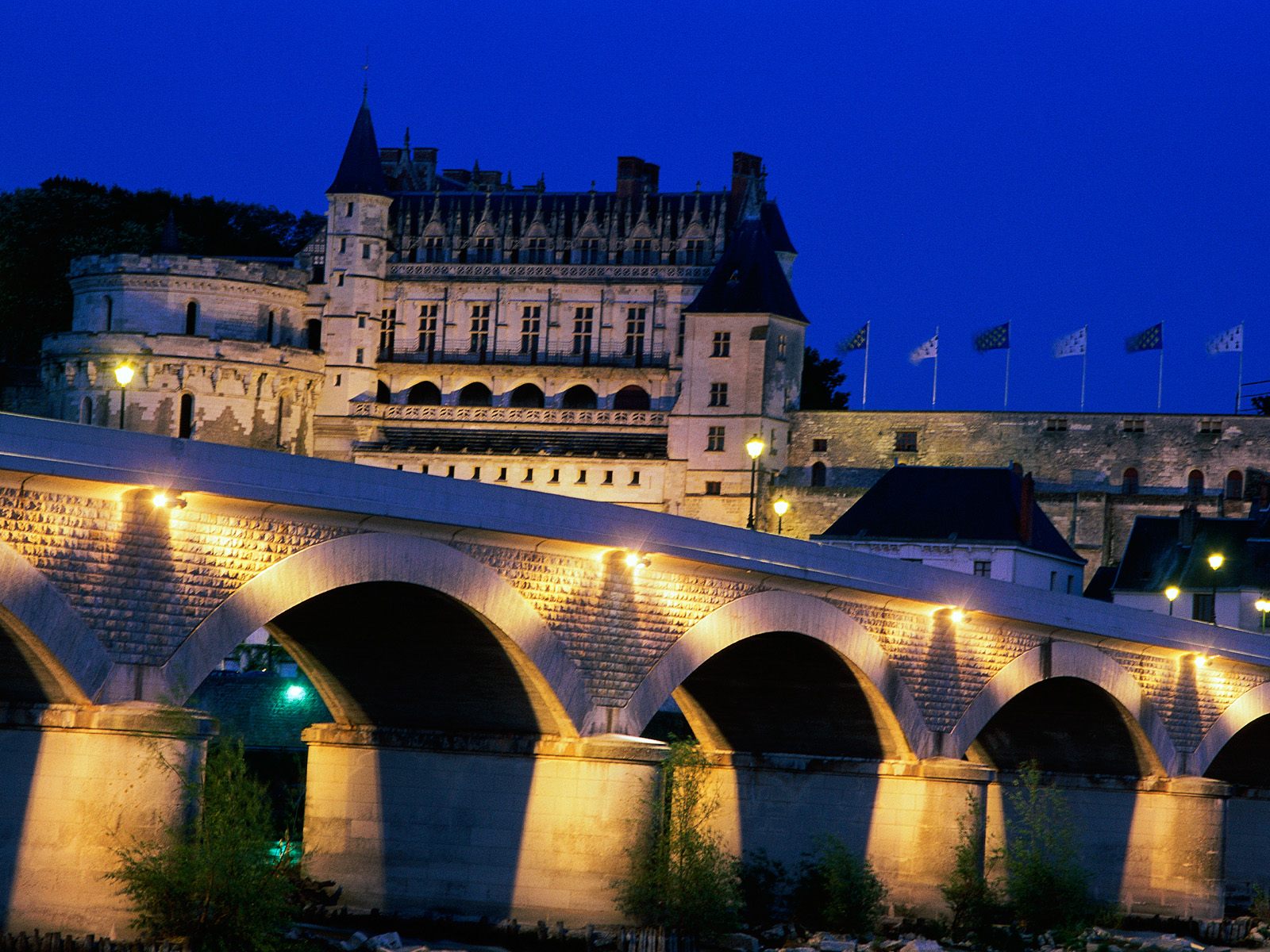 Chateau_d'_Amboise_France.jpg