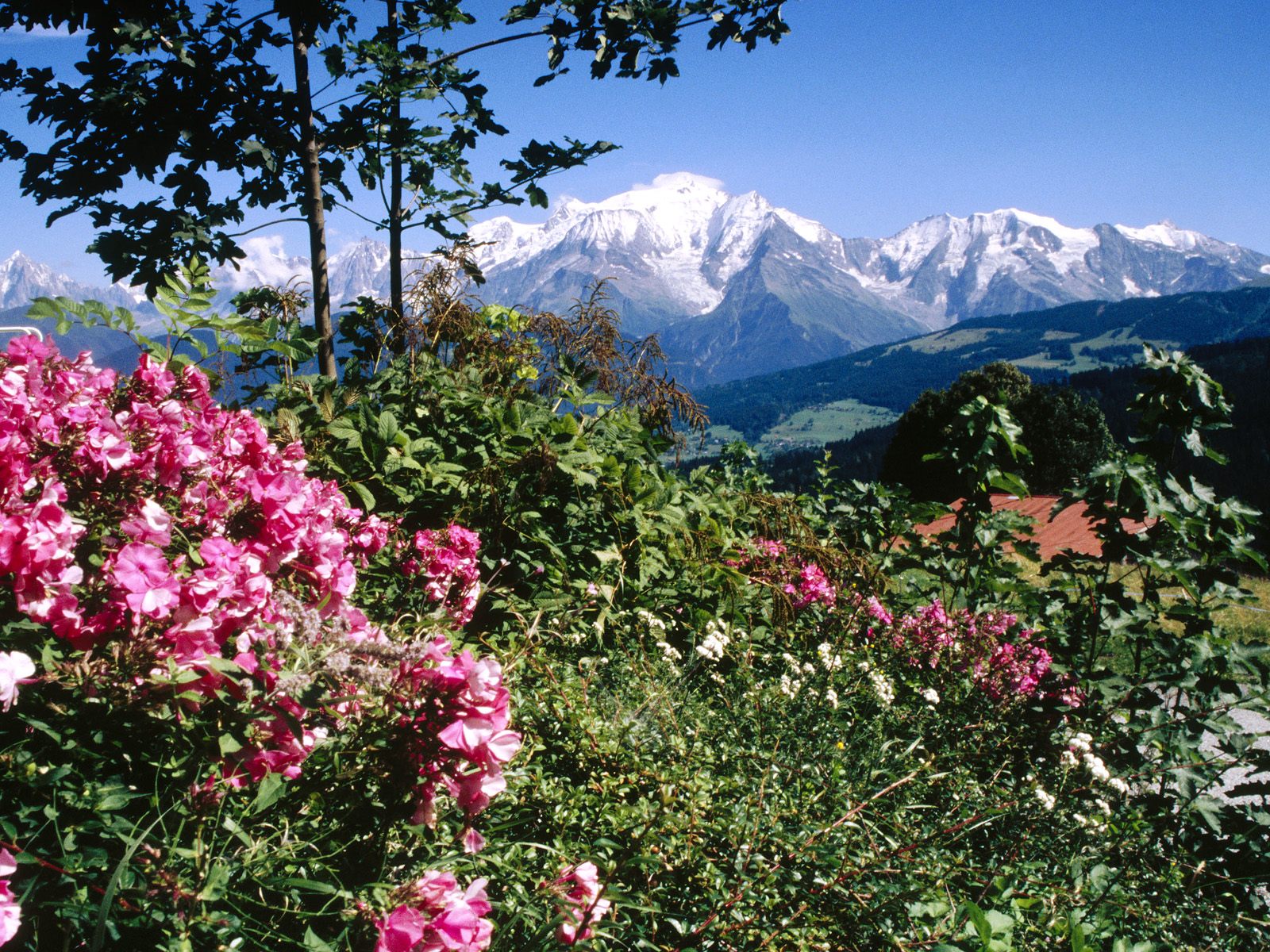 Mont Blanc View From Cordon Village Haute-Savoie France