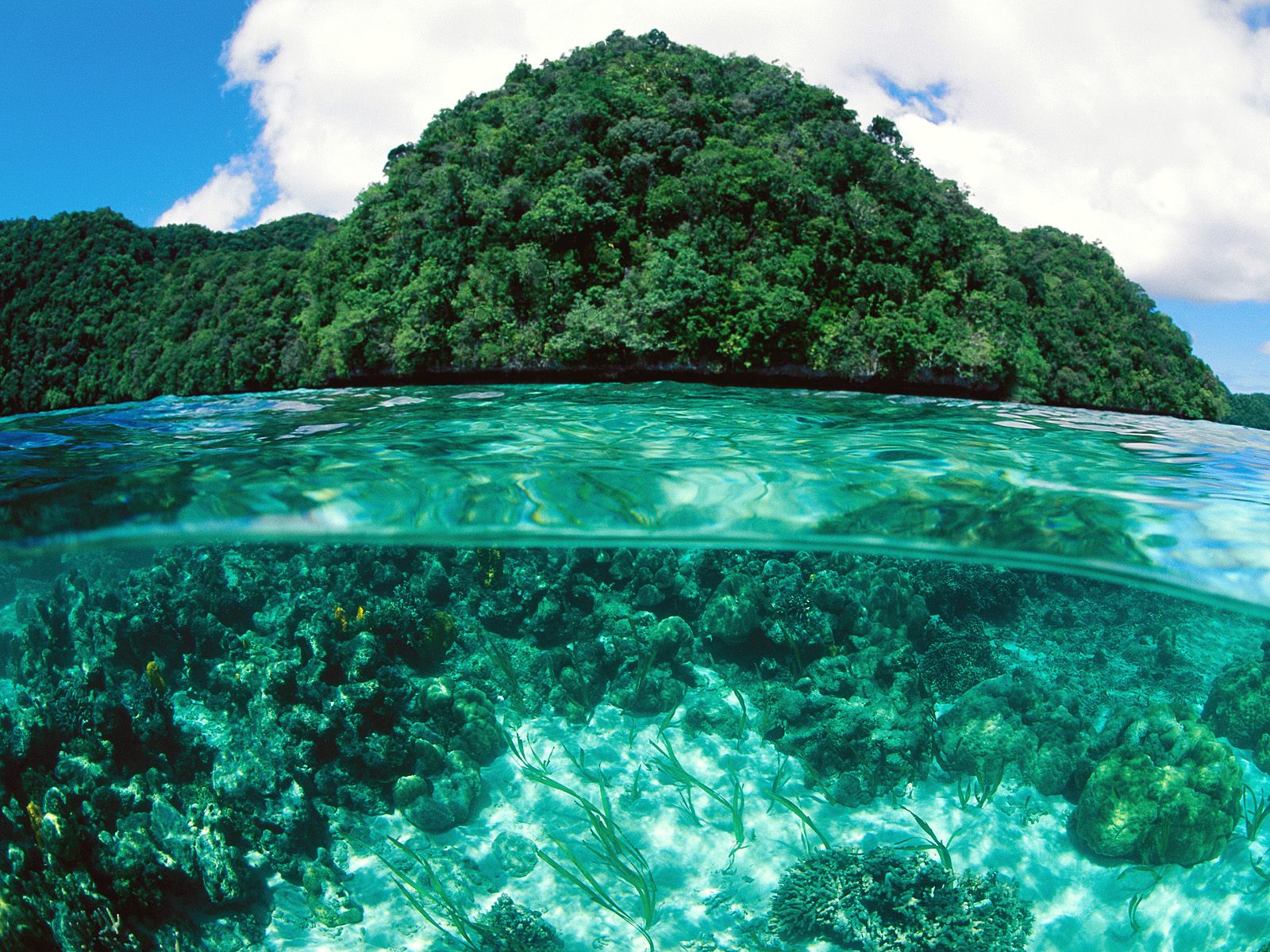 Limestone Island Palau