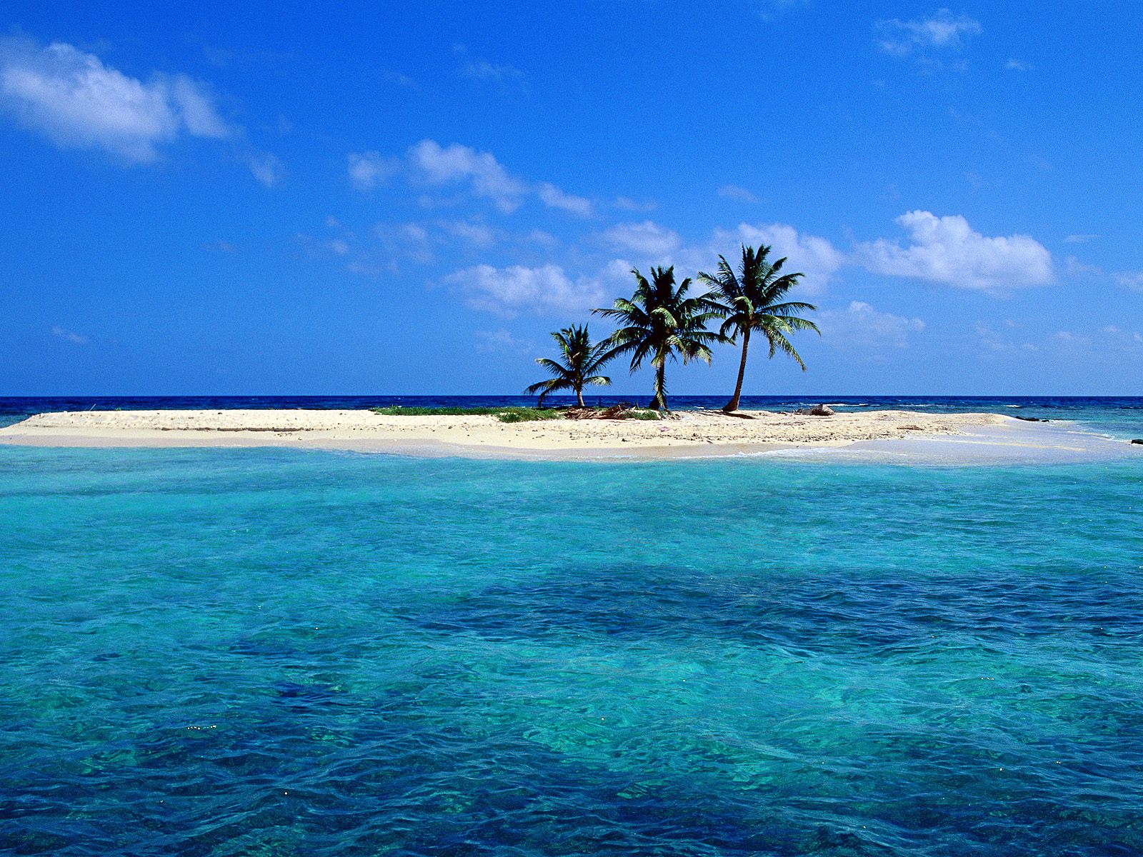 Sandy Island off Lighthouse Reef Belize