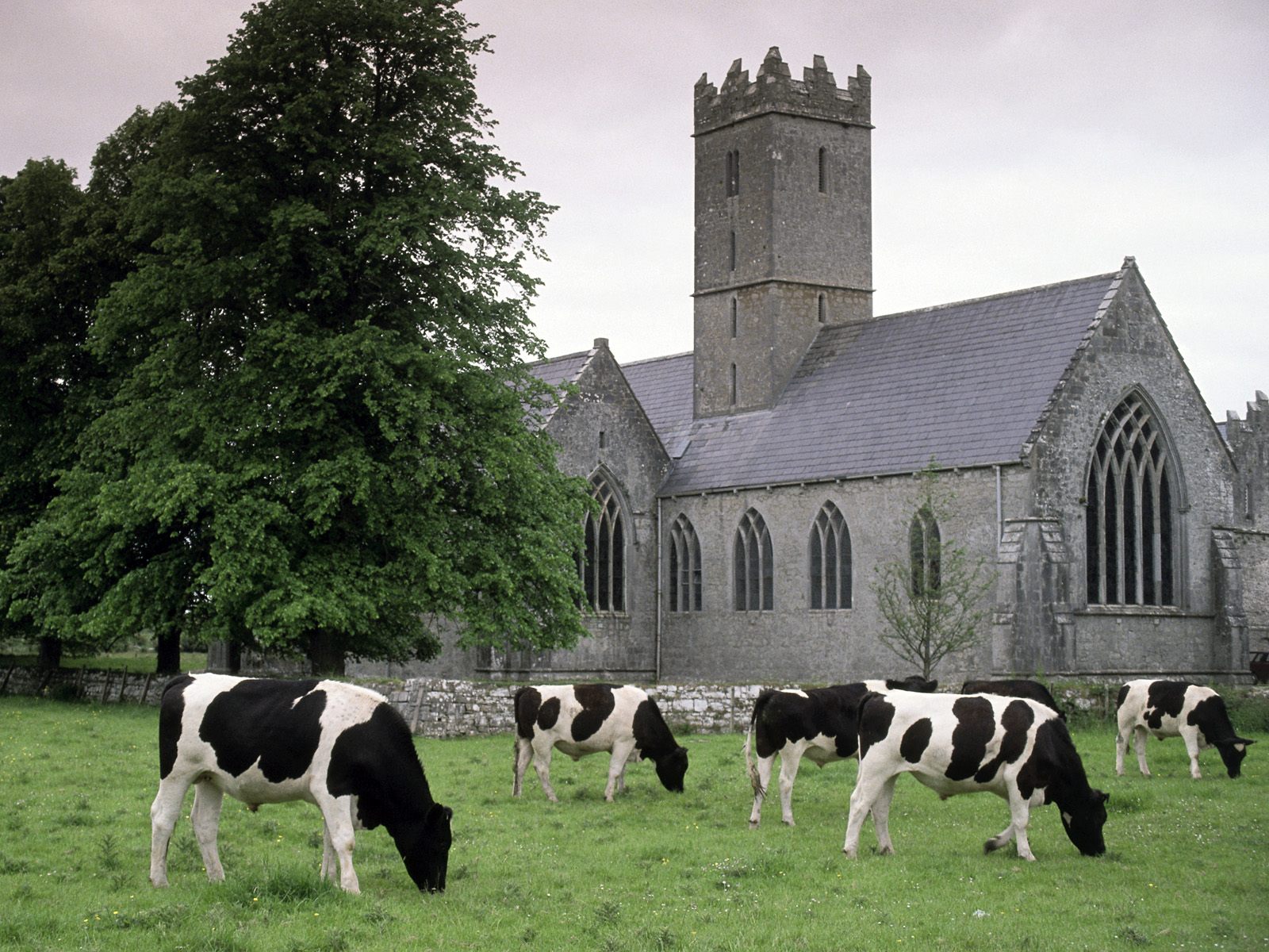 Adare Ireland