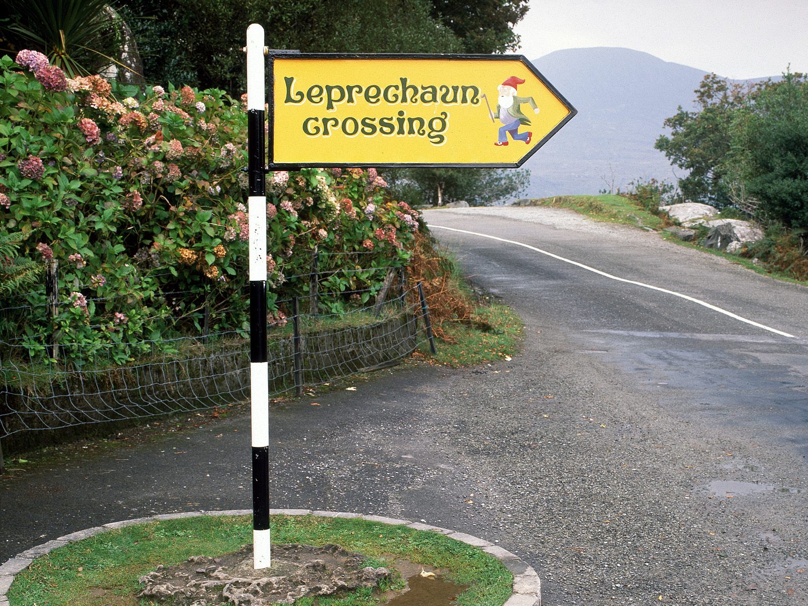 Leprechaun Crossing  County Kerry Ireland