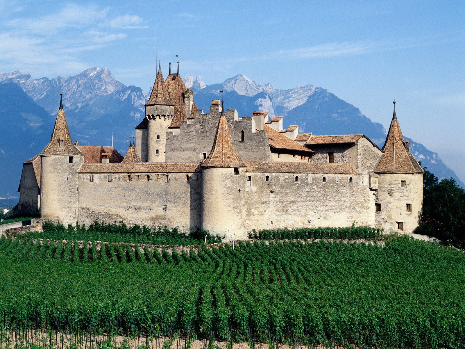 Chateau_d'Aigle_Switzerland.jpg