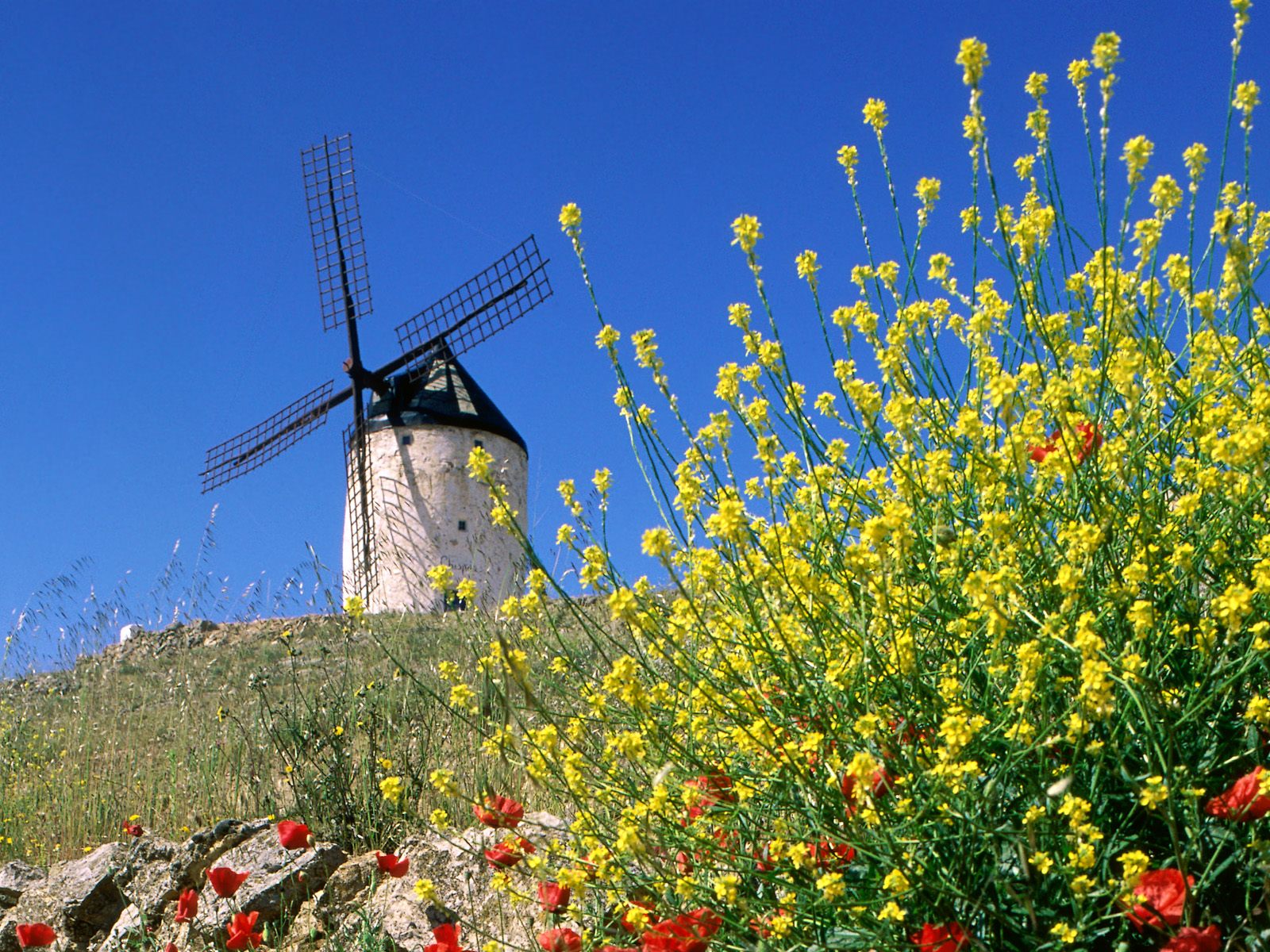 Consuegra Spain