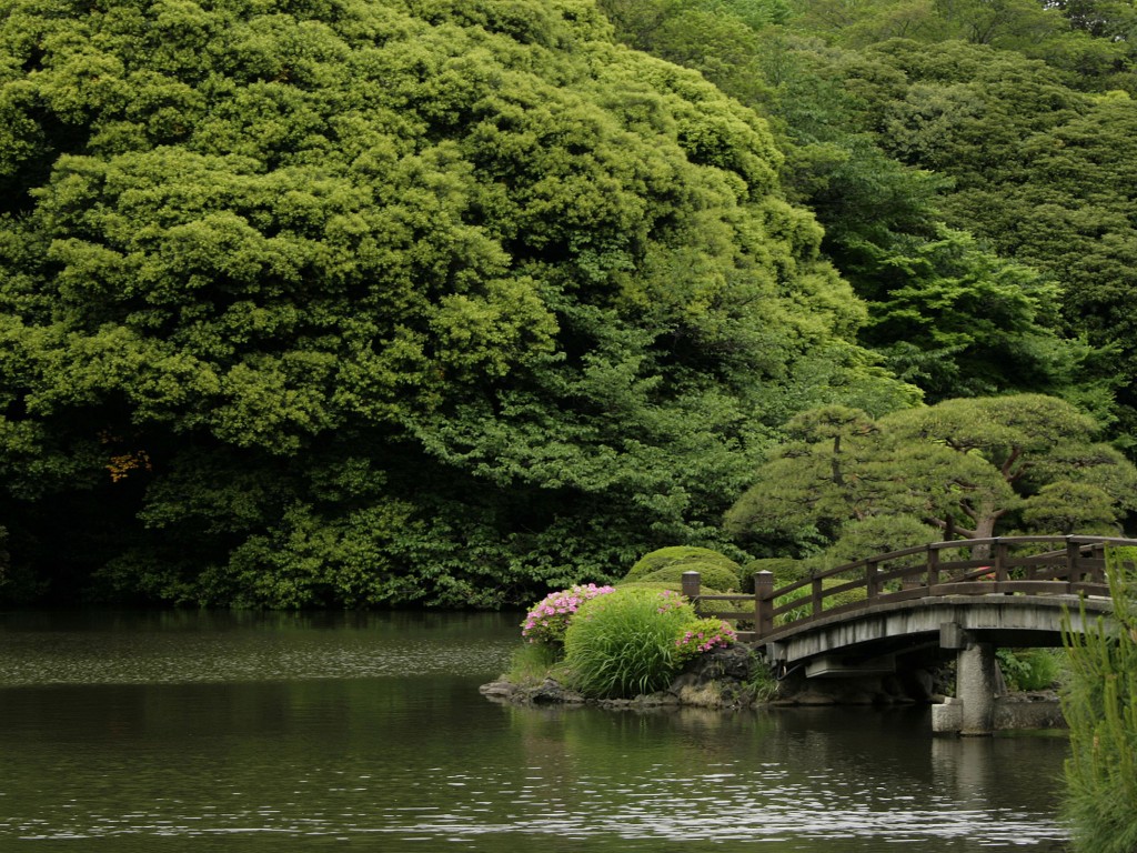 Shinjuku  Gyoen Bridge 1024 x 768