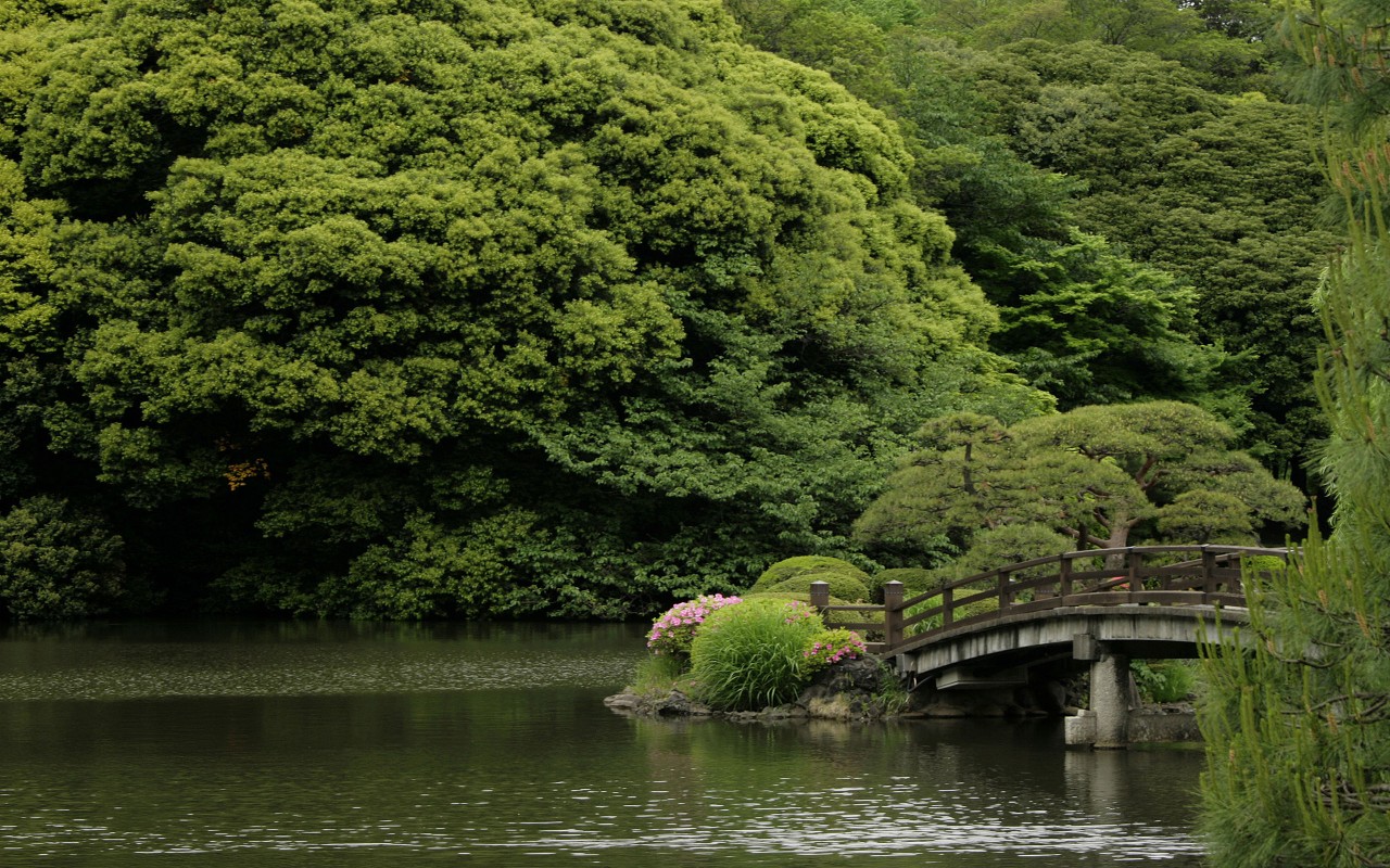 Shinjuku  Gyoen Bridge 1280 x 800