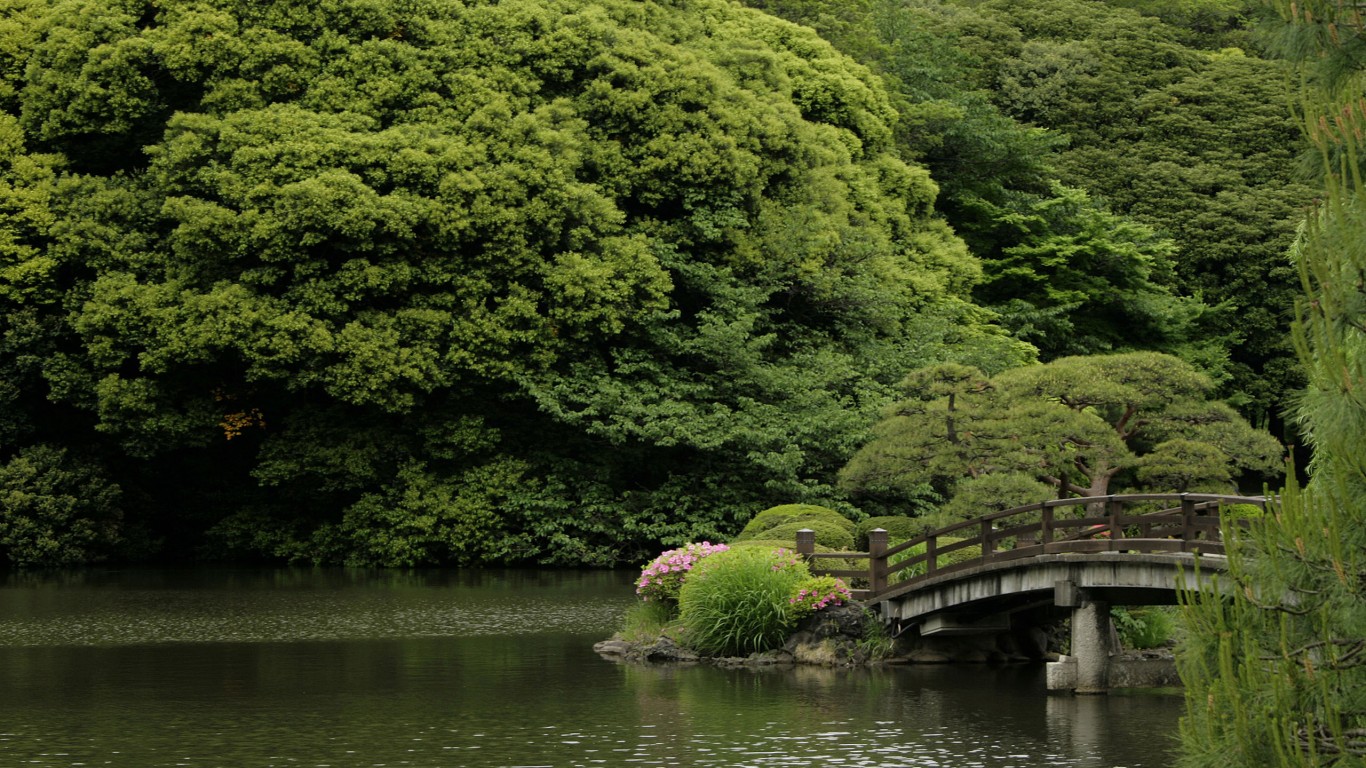 Shinjuku  Gyoen Bridge 1366 x 768