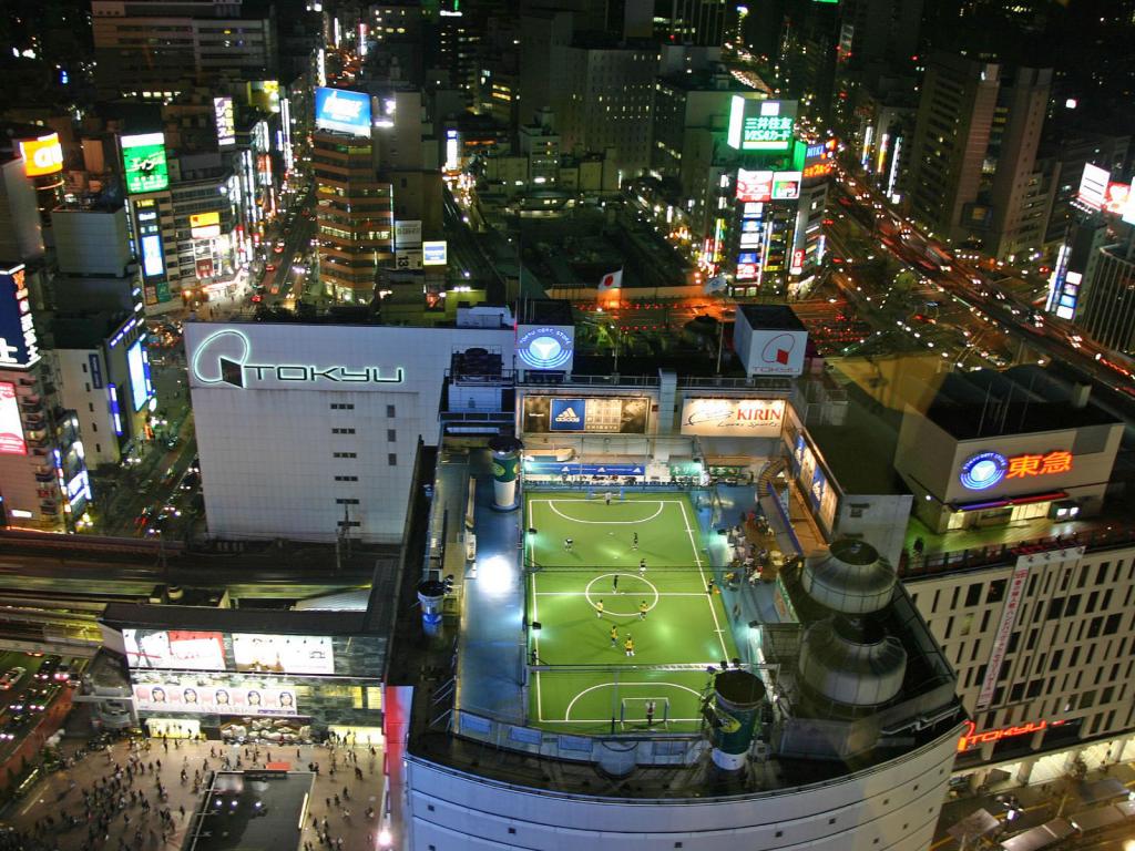 roof-football-stadium 1024 x 768