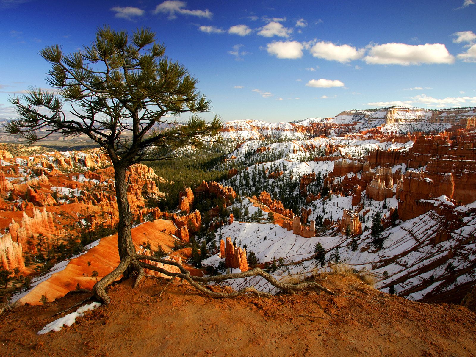 Alone on the Rim Bryce Canyon National Park Utah