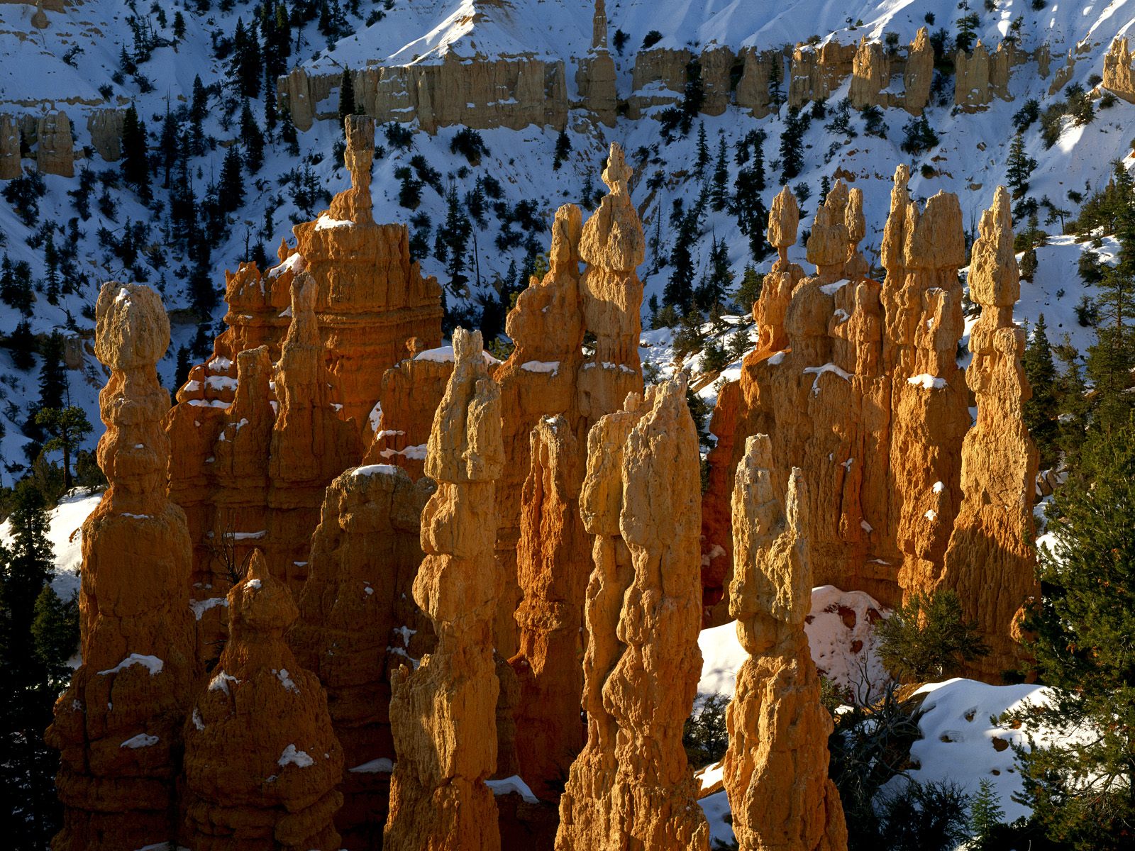 Fairyland Canyon Bryce Canyon National Park Utah