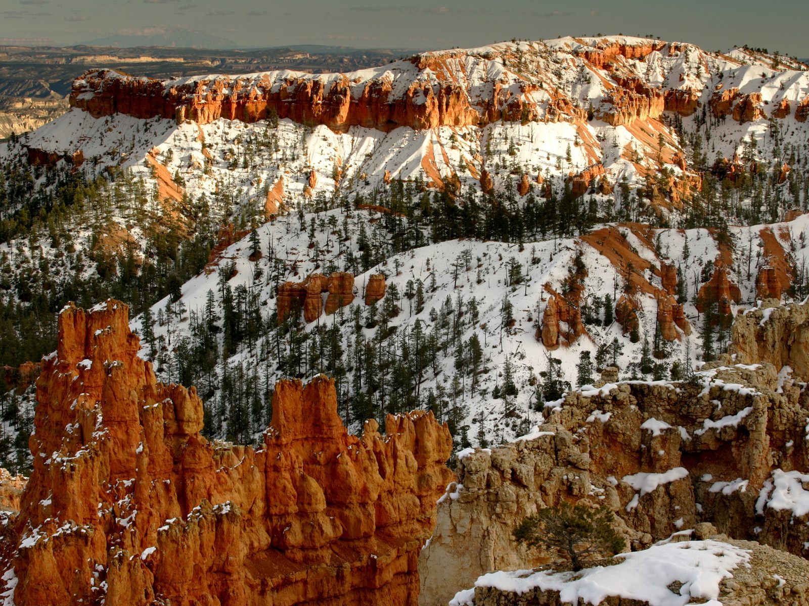 Ice Cold Hoodoos Bryce Canyon National Park Utah