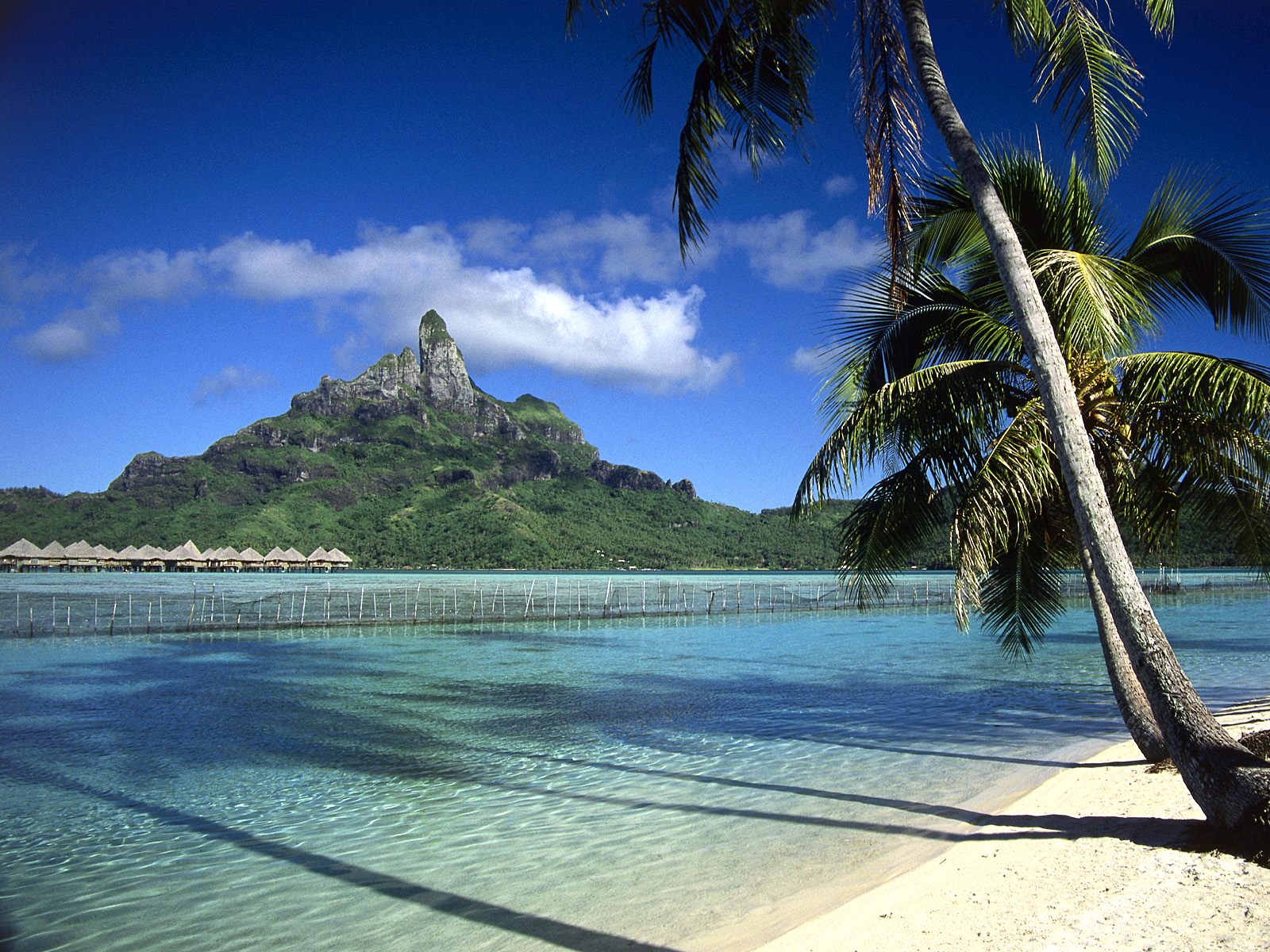 Bora Bora Shoreline French Polynesia