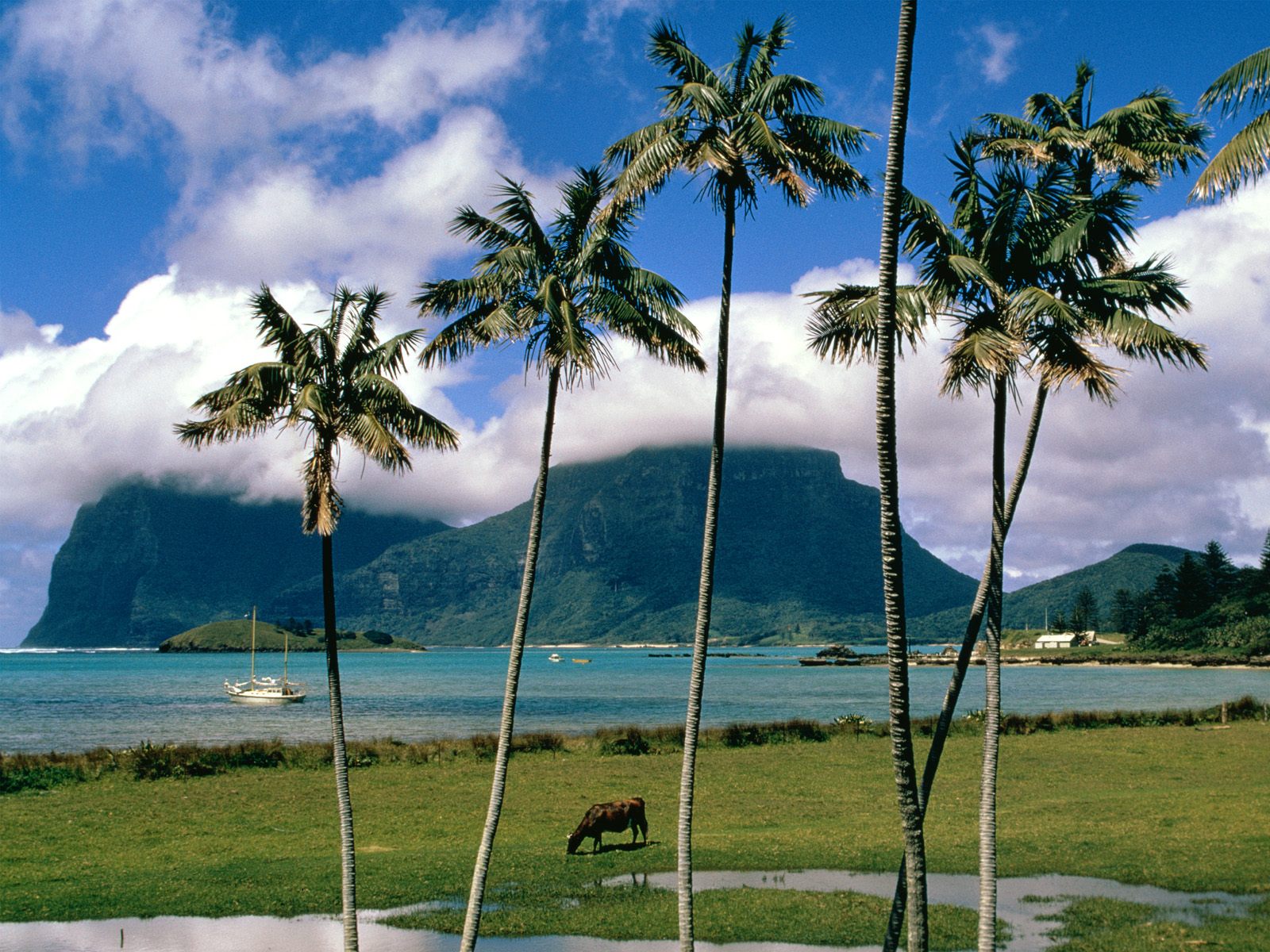 Lord Howe Island Australia