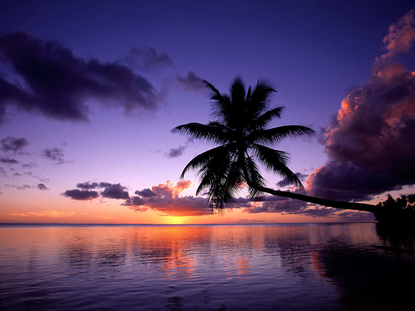 Moorea French Polynesia