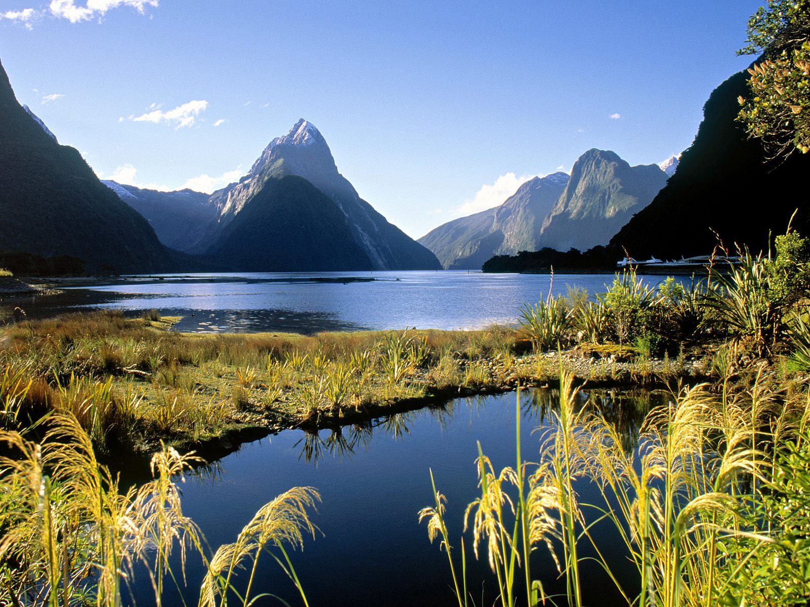 Fjordland New Zealand