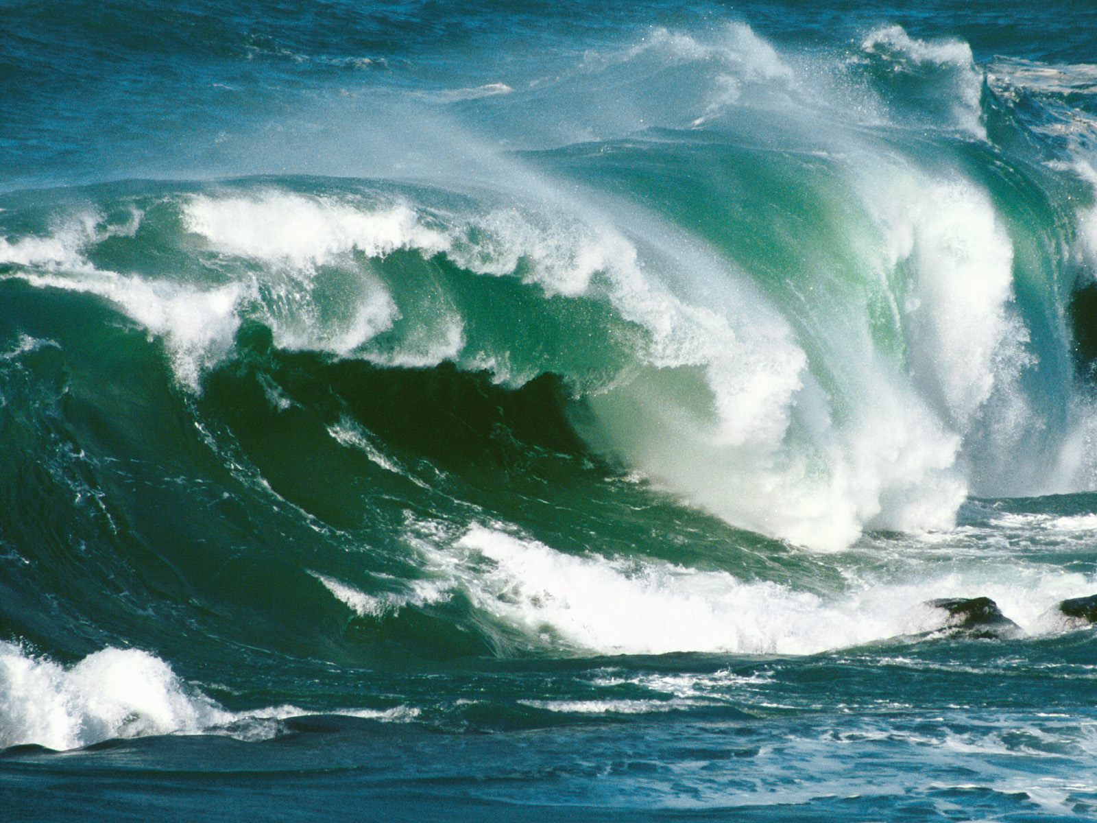 North Island Waves New Zealand