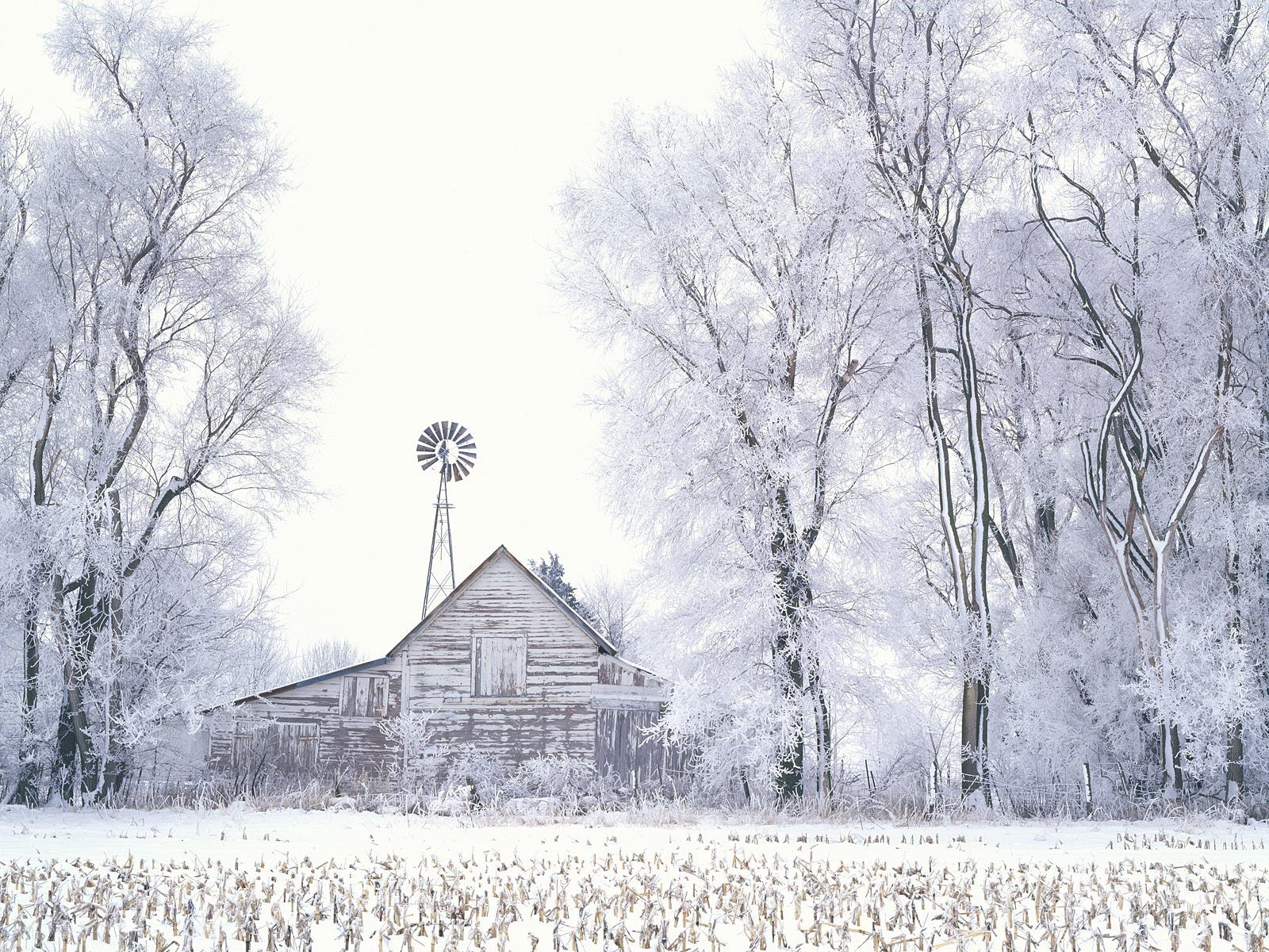 Frosted Farmland LaSalle County Illinois