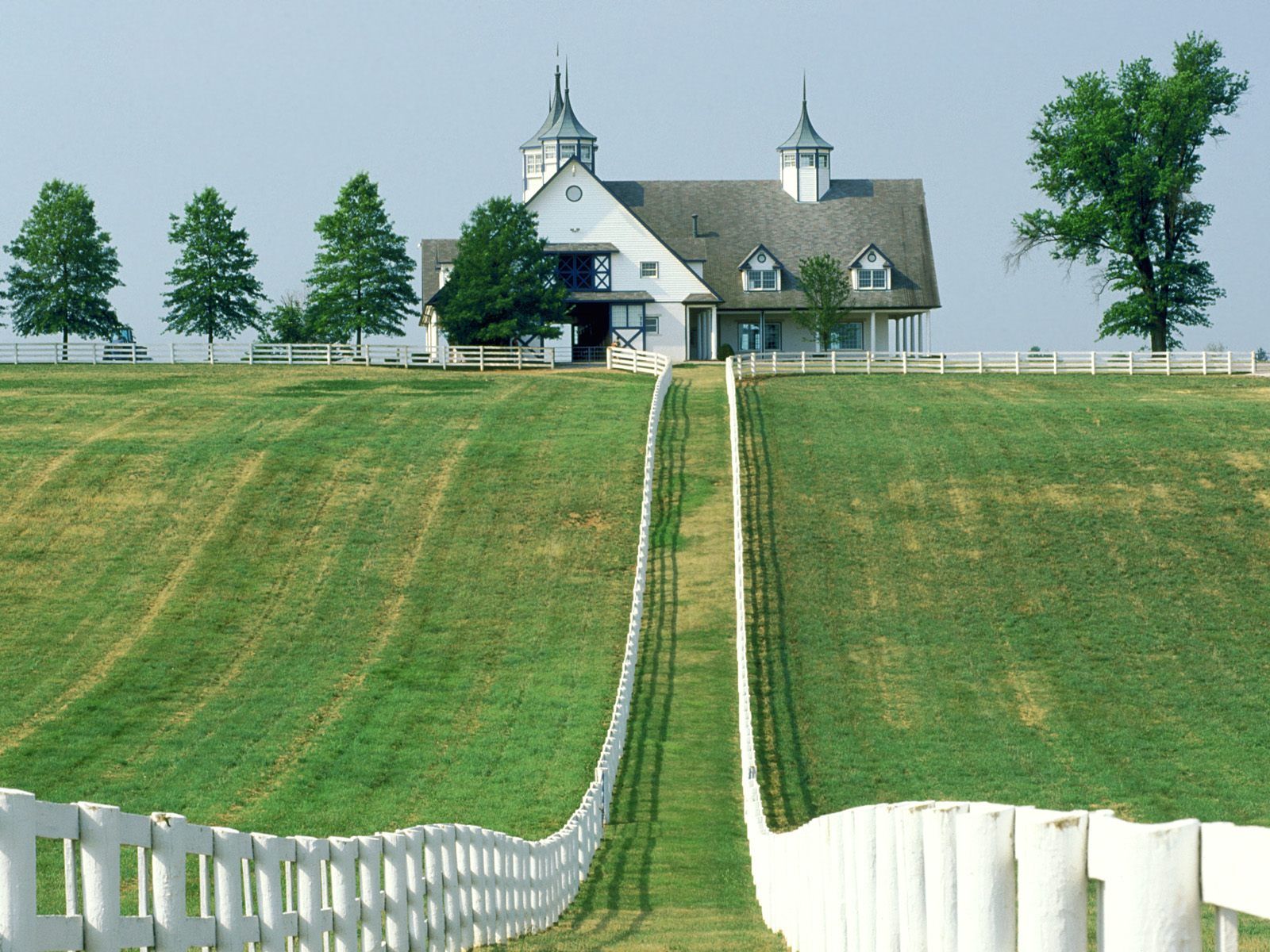 Manchester Farm Lexington Kentucky