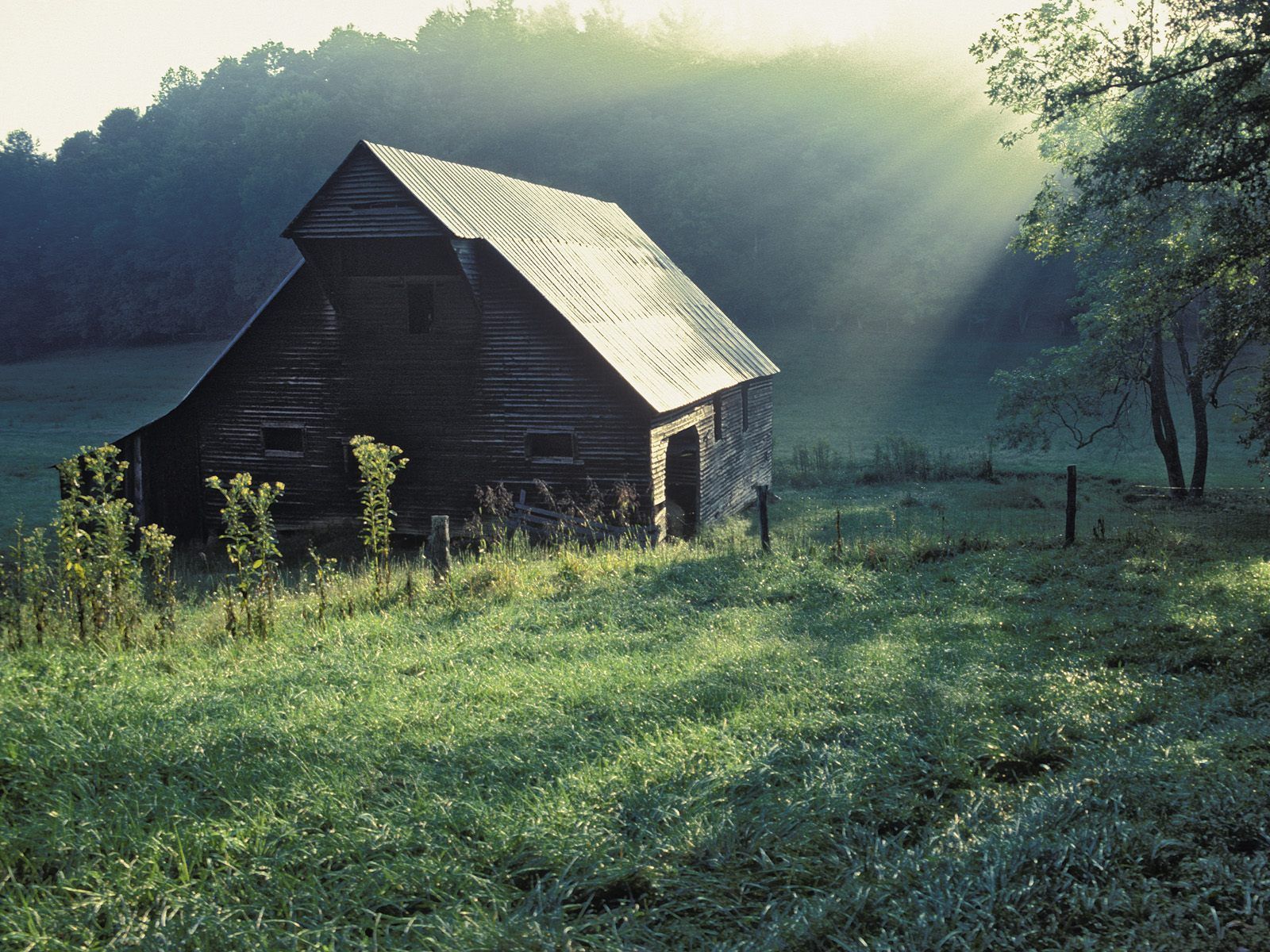 Tipton Place Cades Cove Great Smoky Mountains National Park Tennessee