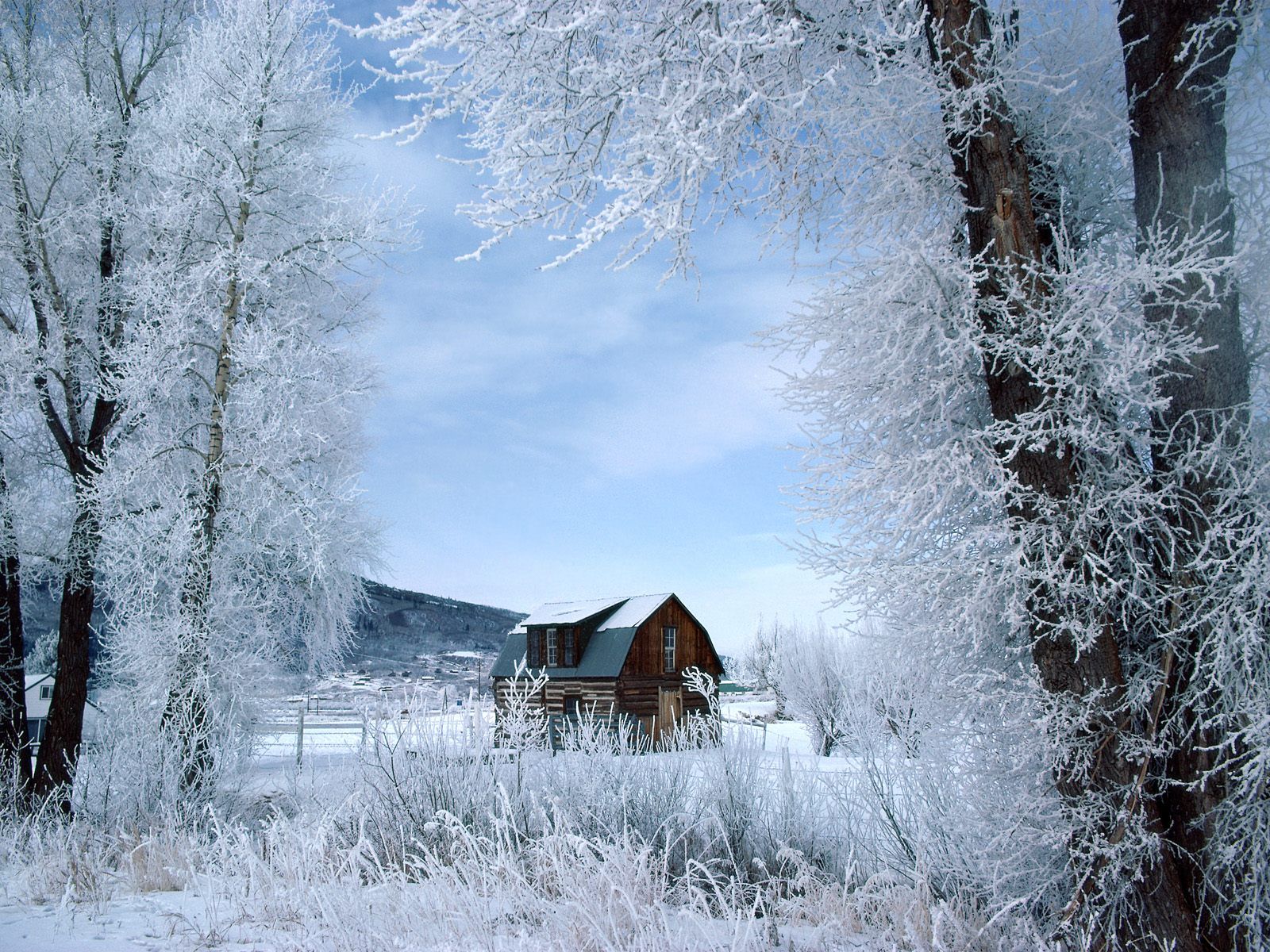 Winter Wonderland Steamboat Springs Colorado