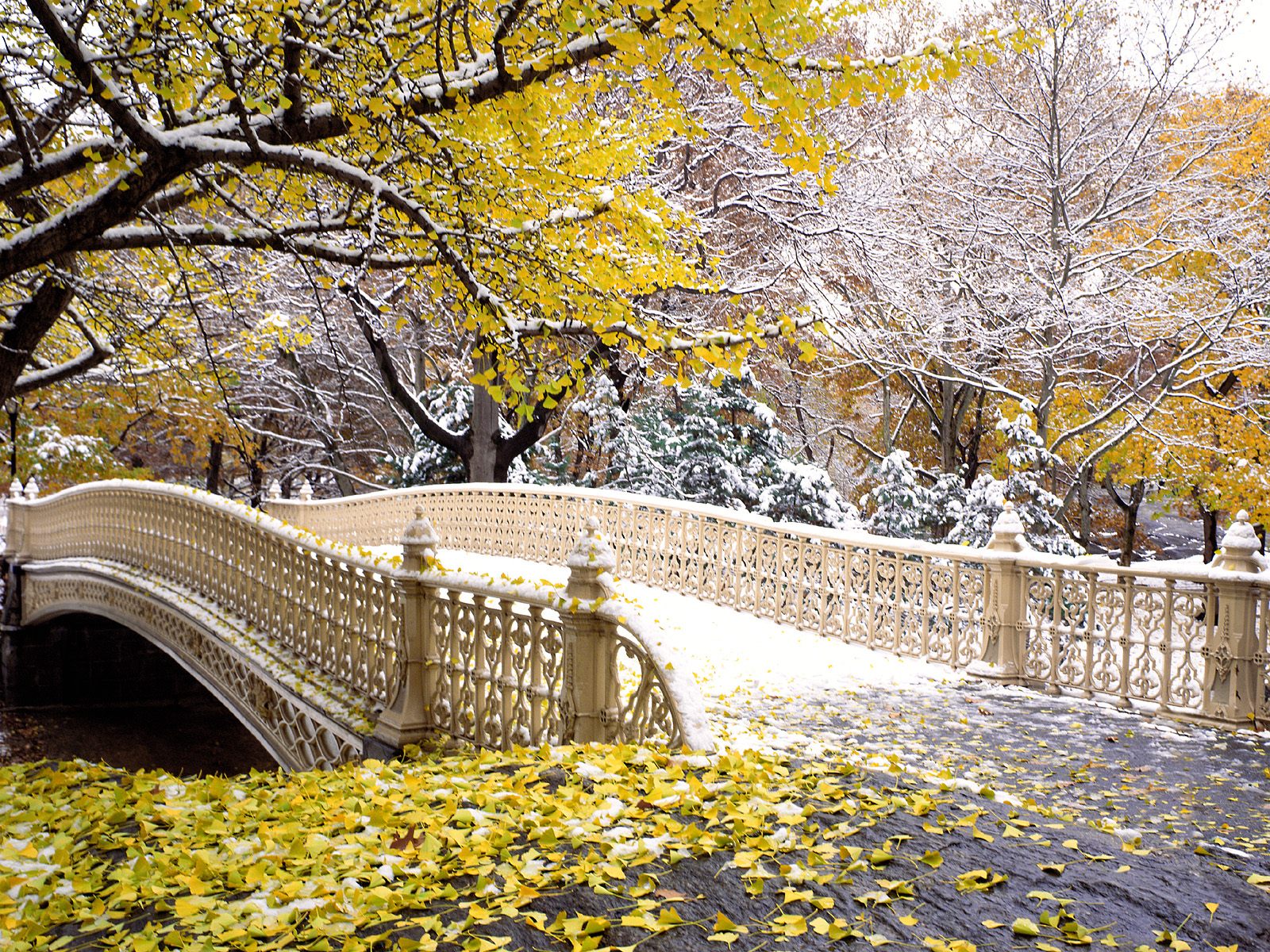 Early Snowfall Central Park New York