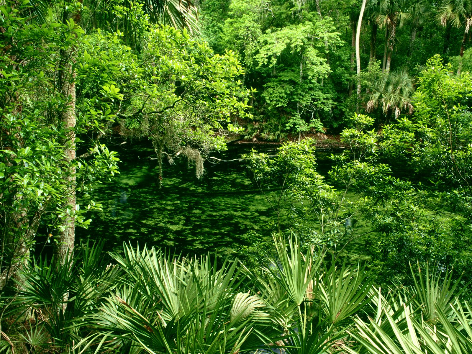 Blue Spring State Park Florida