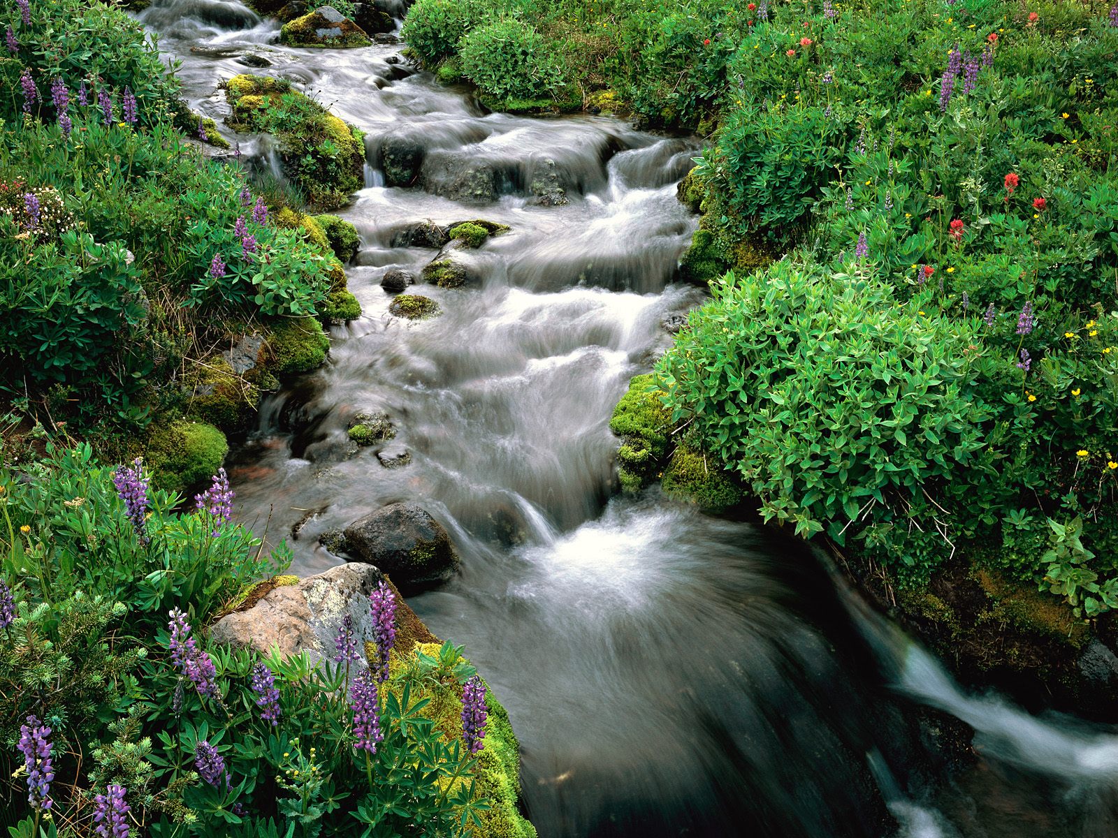 Mount Adams Yakima Indian Reservation Washingt