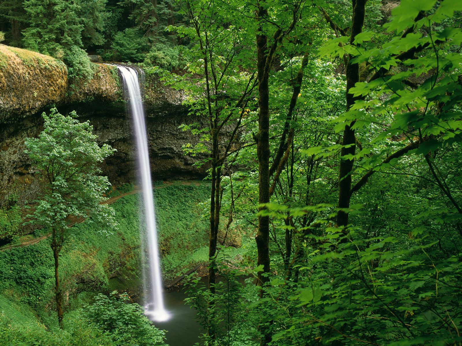 Silver Falls State Park Oregon