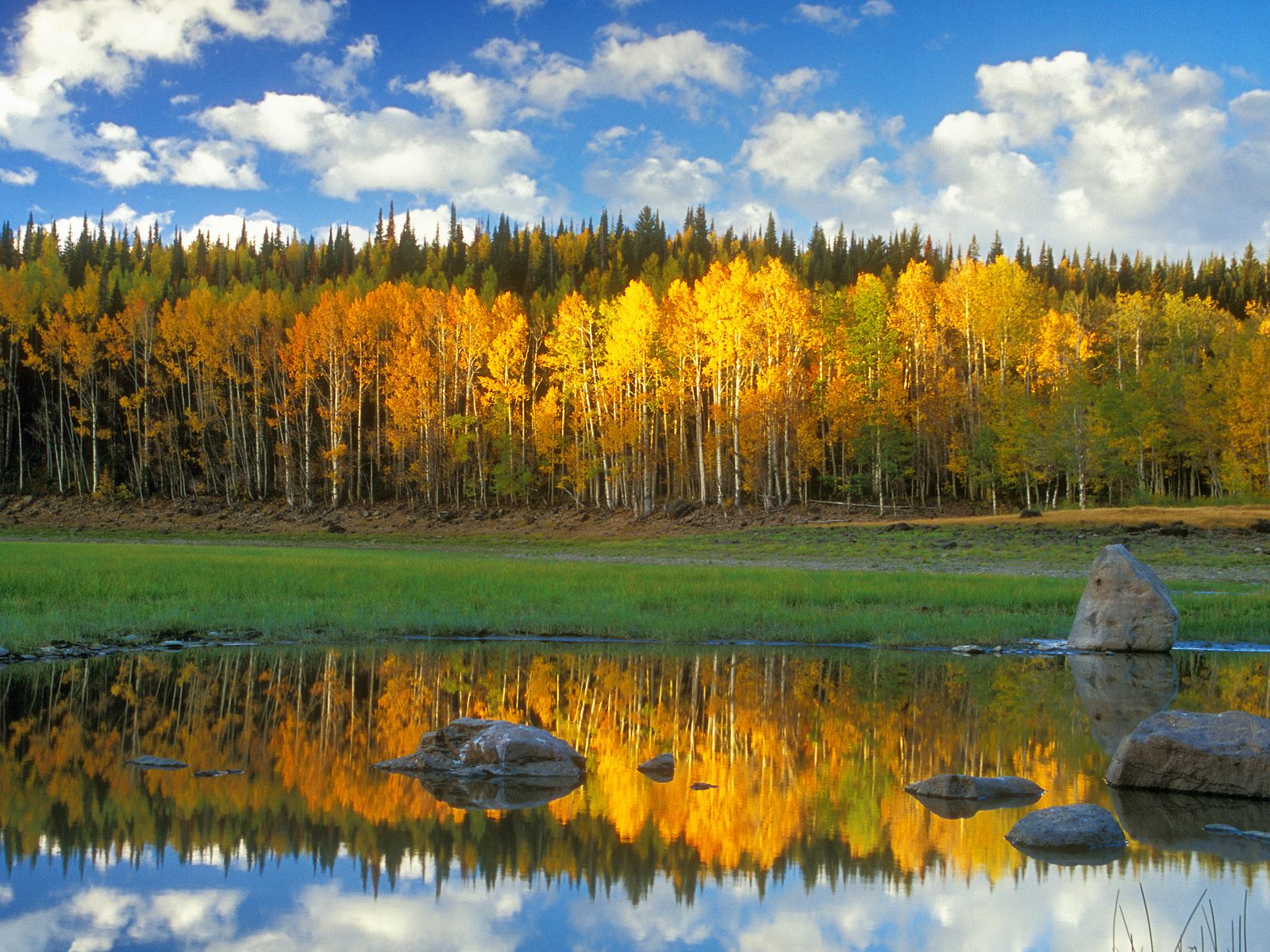 Grand Mesa Colorado