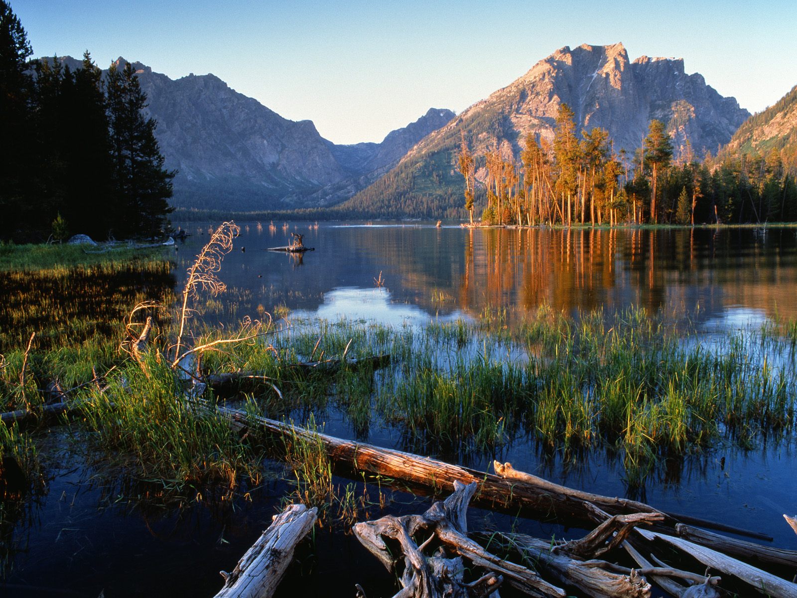 Jackson Lake At Sunrise Grand Teton National Park Wyoming Picture