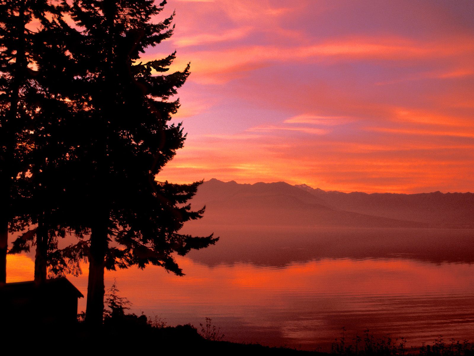 Living Waters Hood Canal Washington