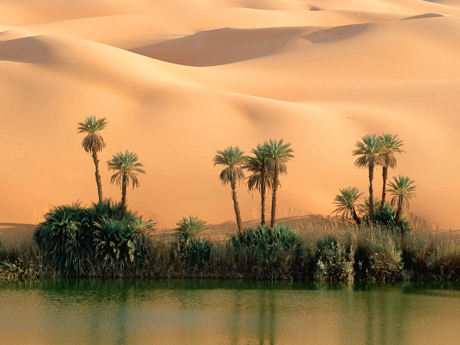 Ouem El Ma Lake Libya