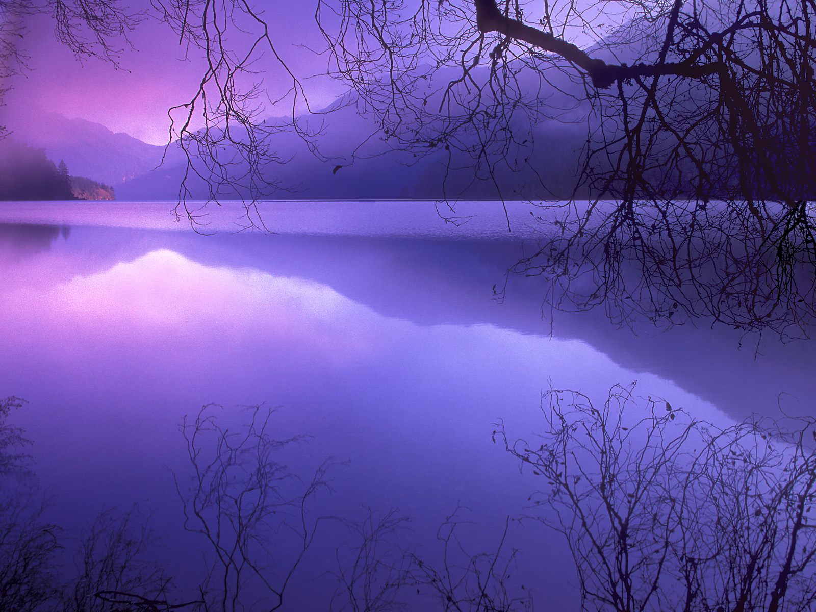 Purple Haze over Lake Crescent Olympic National Park Washington